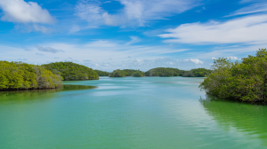 lagune-eaux-turquoises-mangroves-ilots